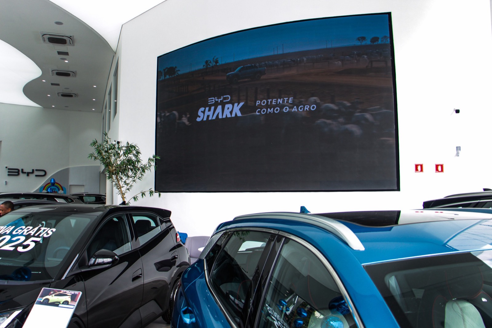 Painel de LED indoor de grande formato em uma concessionária, atrás de carros